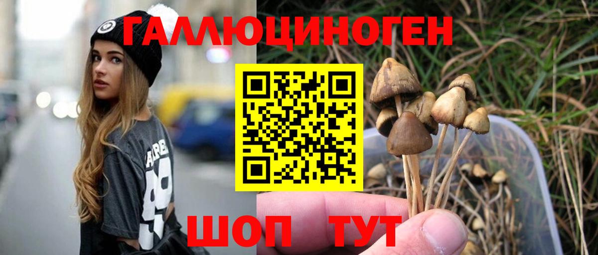 Галлюциногенные грибы мухоморы Десногорск