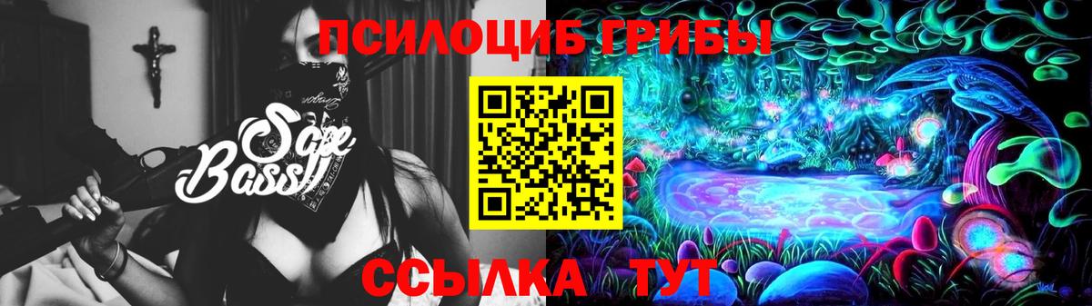 Галлюциногенные грибы Magic Shrooms  Псилоцибиновые грибы прущие грибы  где купить наркоту  Вход с VPN  Десногорск 